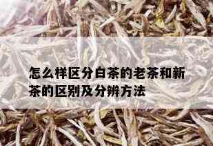 怎么样区分白茶的老茶和新茶的区别及分辨方法