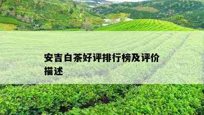 安吉白茶好评排行榜及评价描述