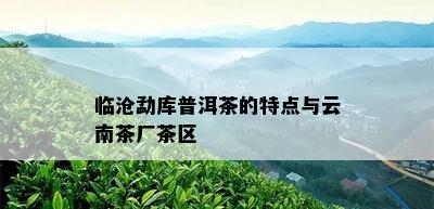 临沧勐库普洱茶的特点与云南茶厂茶区