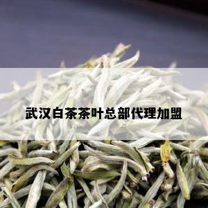 武汉白茶茶叶总部代理加盟