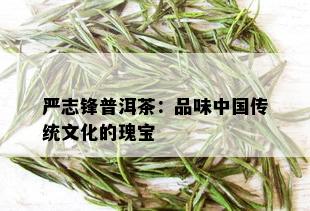 严志锋普洱茶：品味中国传统文化的瑰宝