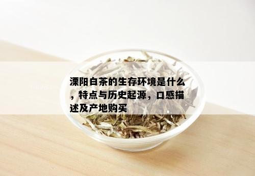 溧阳白茶的生存环境是什么，特点与历史起源，口感描述及产地购买