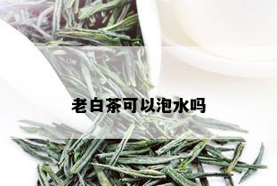 老白茶可以泡水吗