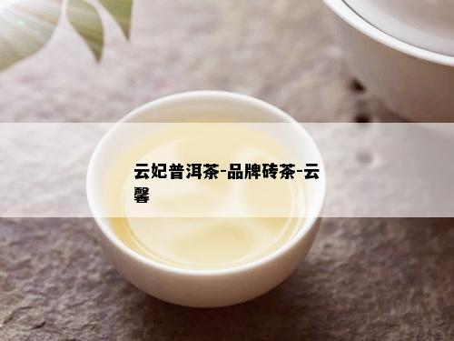 云妃普洱茶-品牌砖茶-云馨