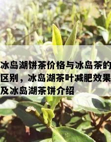 冰岛湖饼茶价格与冰岛茶的区别，冰岛湖茶叶减肥效果及冰岛湖茶饼介绍