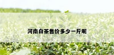 河南白茶售价多少一斤呢