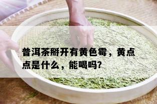 普洱茶掰开有黄色霉，黄点点是什么，能喝吗？