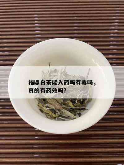 福鼎白茶能入吗有吗，真的有效吗？