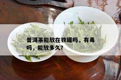 普洱茶能放在铁罐吗，有吗，能放多久？