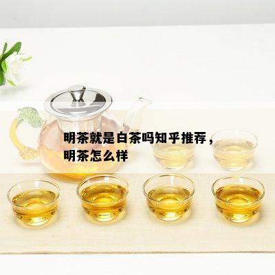 明茶就是白茶吗知乎推荐，明茶怎么样