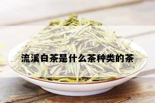 流溪白茶是什么茶种类的茶