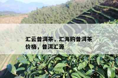 汇云普洱茶，汇海购普洱茶价格，普洱汇源