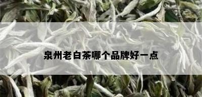 泉州老白茶哪个品牌好一点