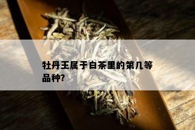 牡丹王属于白茶里的第几等品种？