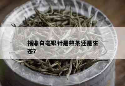 福鼎白毫银针是熟茶还是生茶？