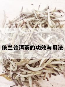 依兰普洱茶的功效与用法