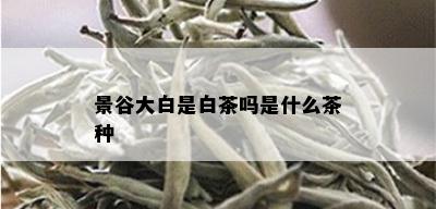 景谷大白是白茶吗是什么茶种