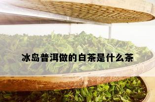 冰岛普洱做的白茶是什么茶