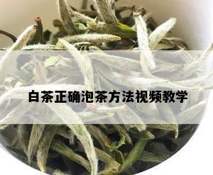 白茶正确泡茶方法视频教学