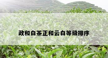 政和白茶正和云白等级排序