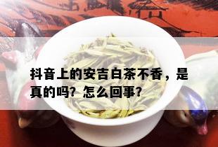 抖音上的安吉白茶不香，是真的吗？怎么回事？