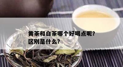 黄茶和白茶哪个好喝点呢？区别是什么？