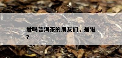 爱喝普洱茶的朋友们，是谁？