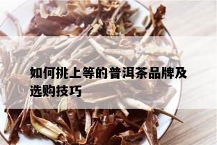 如何挑上等的普洱茶品牌及选购技巧