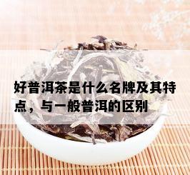 好普洱茶是什么名牌及其特点，与一般普洱的区别