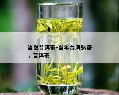 当然普洱茶-当年普洱熟茶，普洱茶