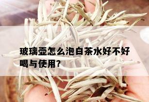 玻璃壶怎么泡白茶水好不好喝与使用？