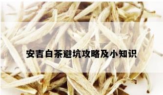 安吉白茶避坑攻略及小知识