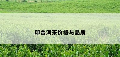 印普洱茶价格与品质