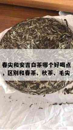 春尖和安吉白茶哪个好喝点，区别和春茶、秋茶、毛尖