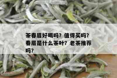 茶春眉好喝吗？值得买吗？春眉是什么茶叶？老茶推荐吗？