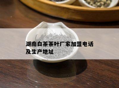 湖南白茶茶叶厂家加盟电话及生产地址