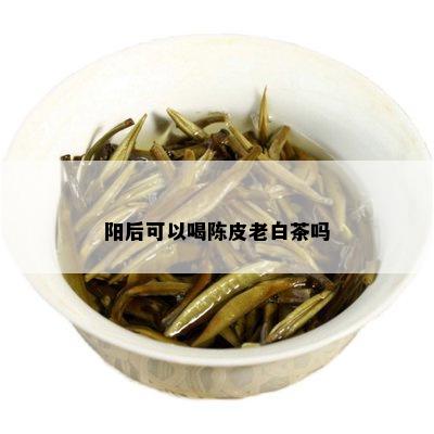 阳后可以喝陈皮老白茶吗