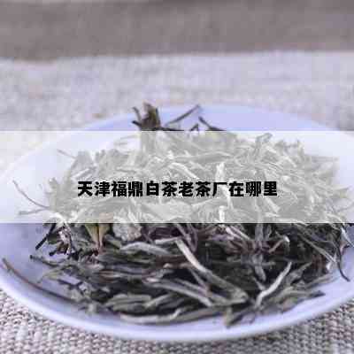 天津福鼎白茶老茶厂在哪里