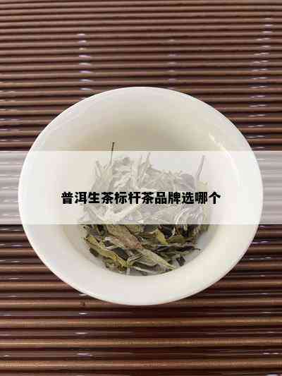 普洱生茶标杆茶品牌选哪个