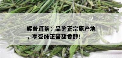 辉普洱茶：品鉴正宗原产地，享受纯正苦甜香醇！