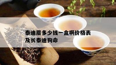 泰迪眉多少钱一盒啊价格表及长泰迪狗命