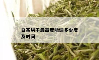 白茶烘干更高度能调多少度及时间