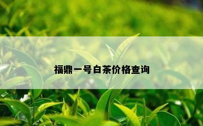 福鼎一号白茶价格查询