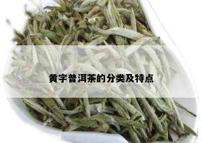 黄字普洱茶的分类及特点