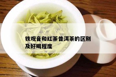 铁观音和红茶普洱茶的区别及好喝程度