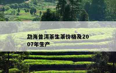 勐海普洱茶生茶价格及2007年生产