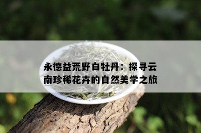 永德益荒野白牡丹：探寻云南珍稀花卉的自然美学之旅