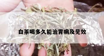 白茶喝多久能治胃病及见效