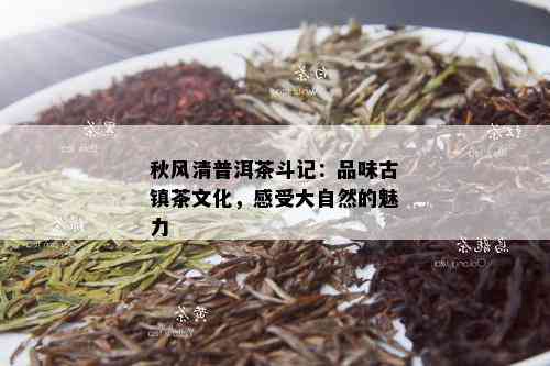 秋风清普洱茶斗记：品味古镇茶文化，感受大自然的魅力