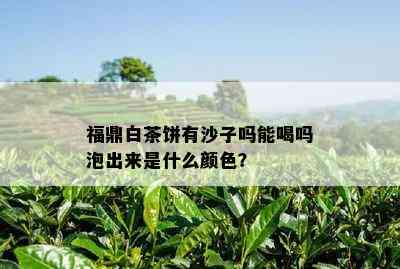 福鼎白茶饼有沙子吗能喝吗泡出来是什么颜色？